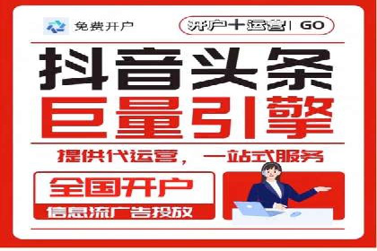 成功SEM托管案例解析